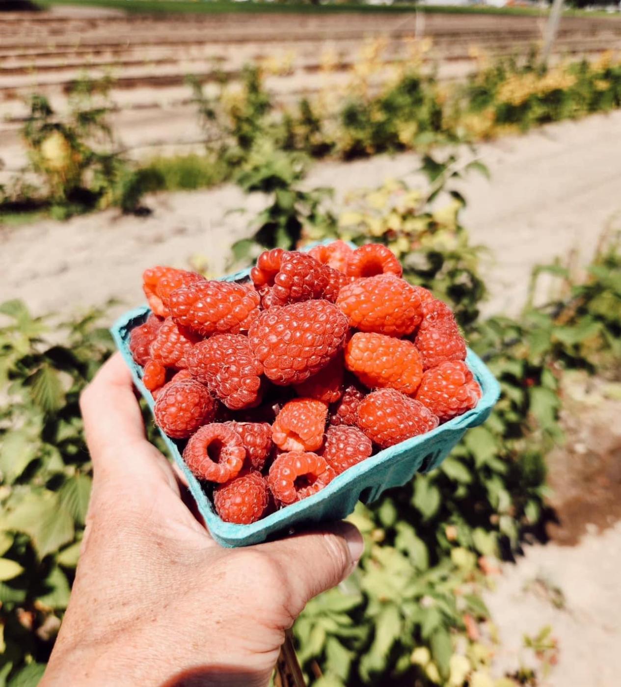 Raspberries