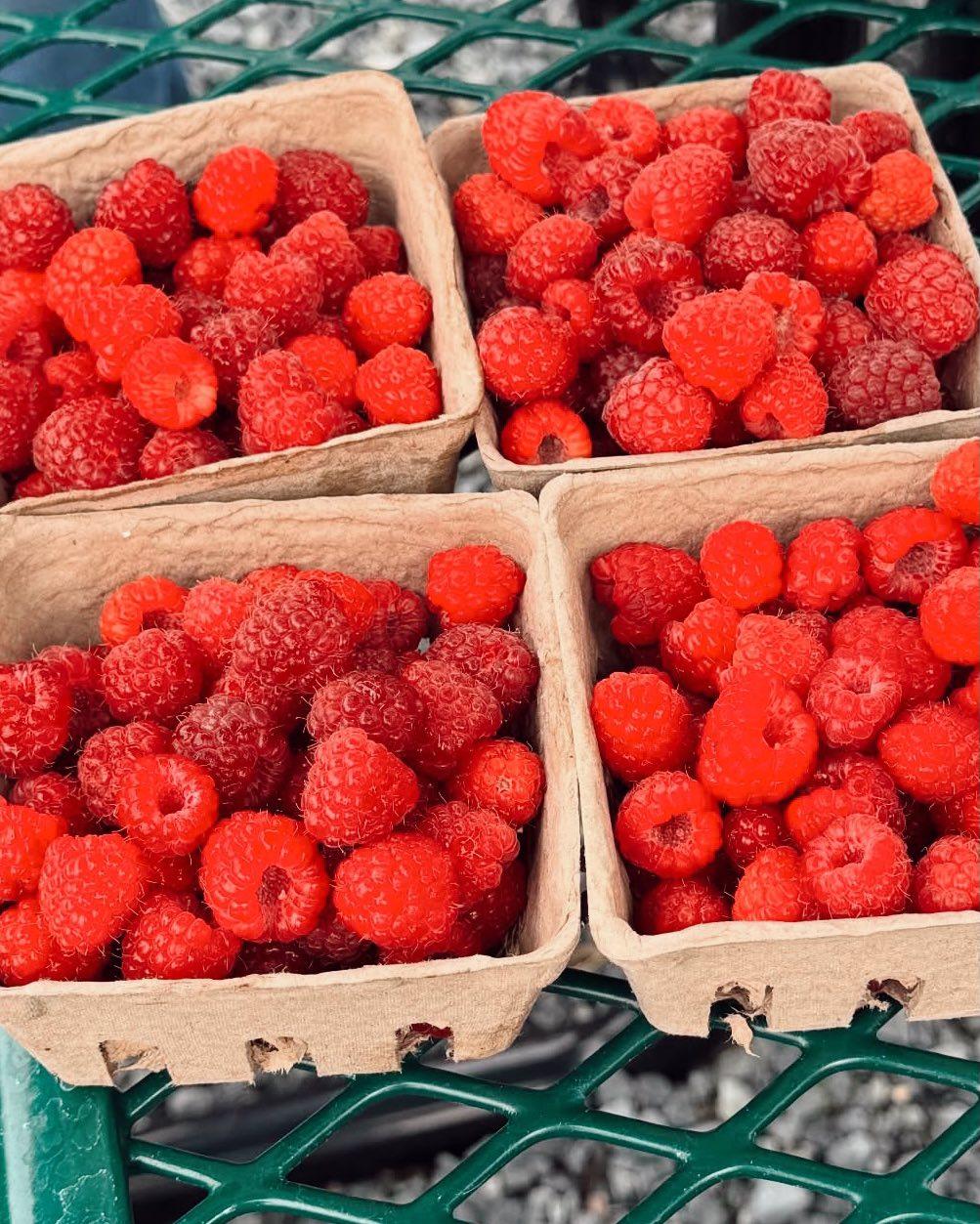 Raspberries